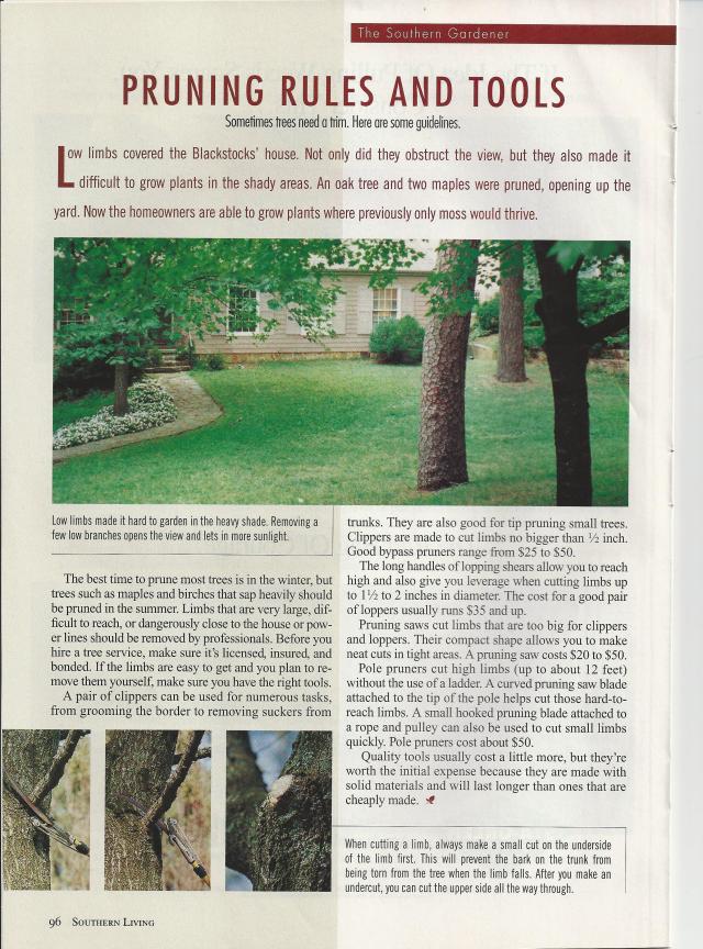 Southern-Living-015
