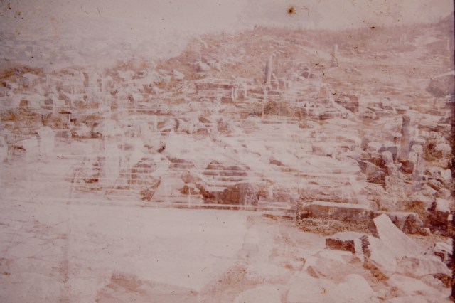 My beautiful picture