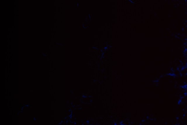 My beautiful picture