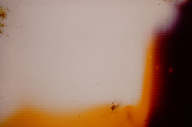 My beautiful picture