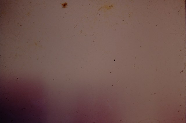 My beautiful picture