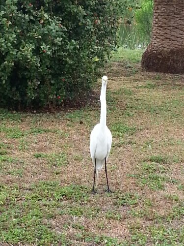 20130404_171933.jpg image