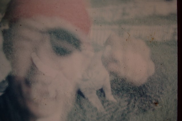 My beautiful picture