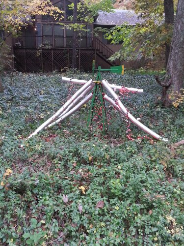 20131031_121034.jpg image