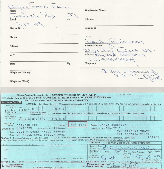 Erin-pedigree-certificate-trim