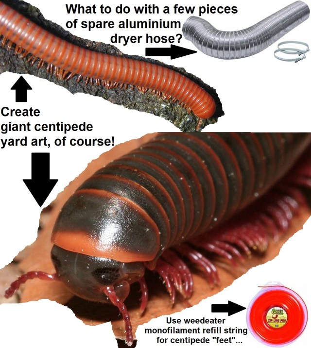 Giant-centipede-yard-art