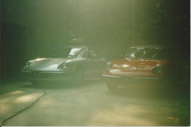 two-Spiders-foggy-view-01